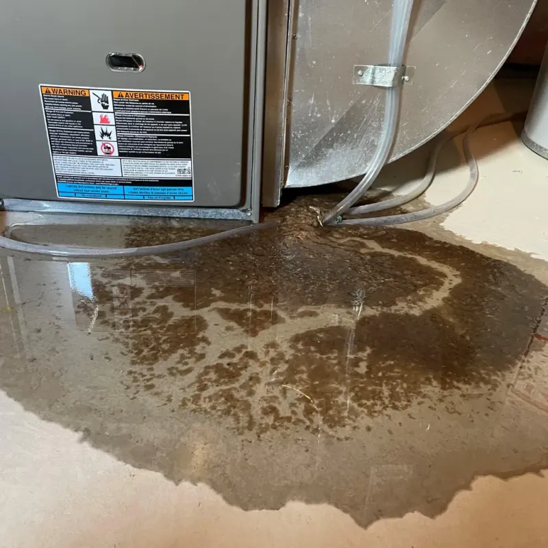 Appliance Leak Cleanup in Litchfield County, CT